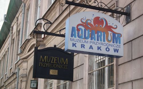 Aquarium and Museum of Natural History in Krakow