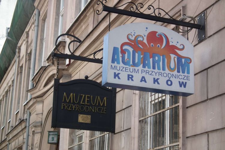 Aquarium and Museum of Natural History in Krakow