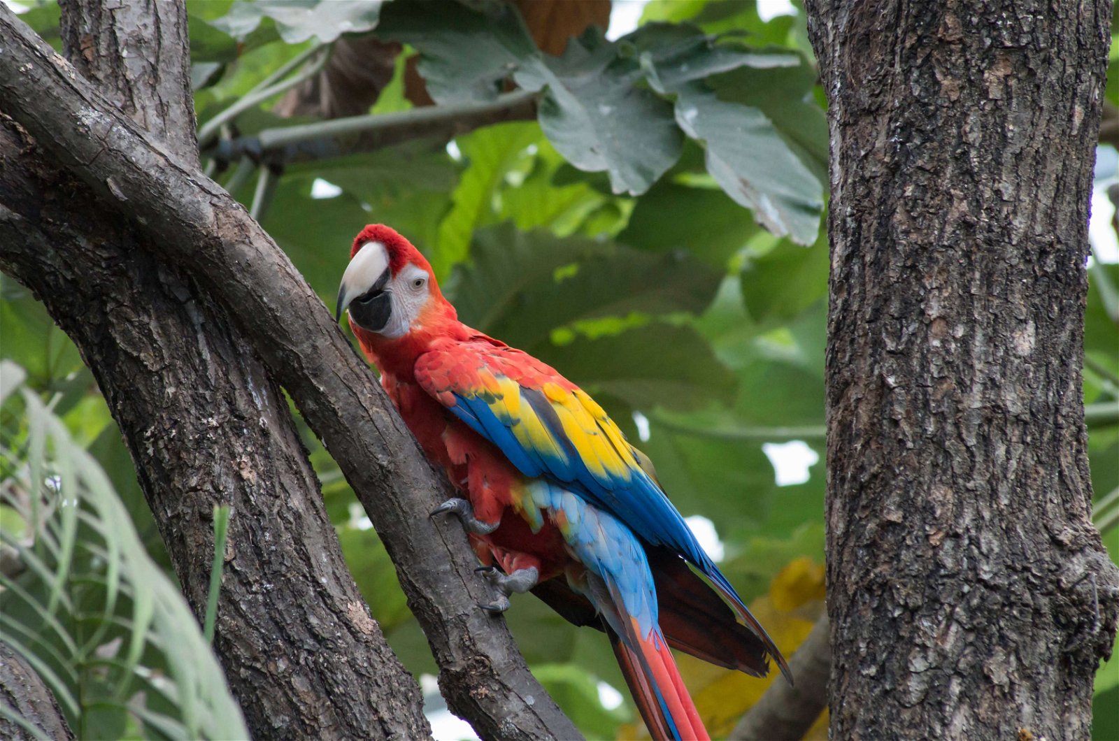 Parc zoologique de Paris