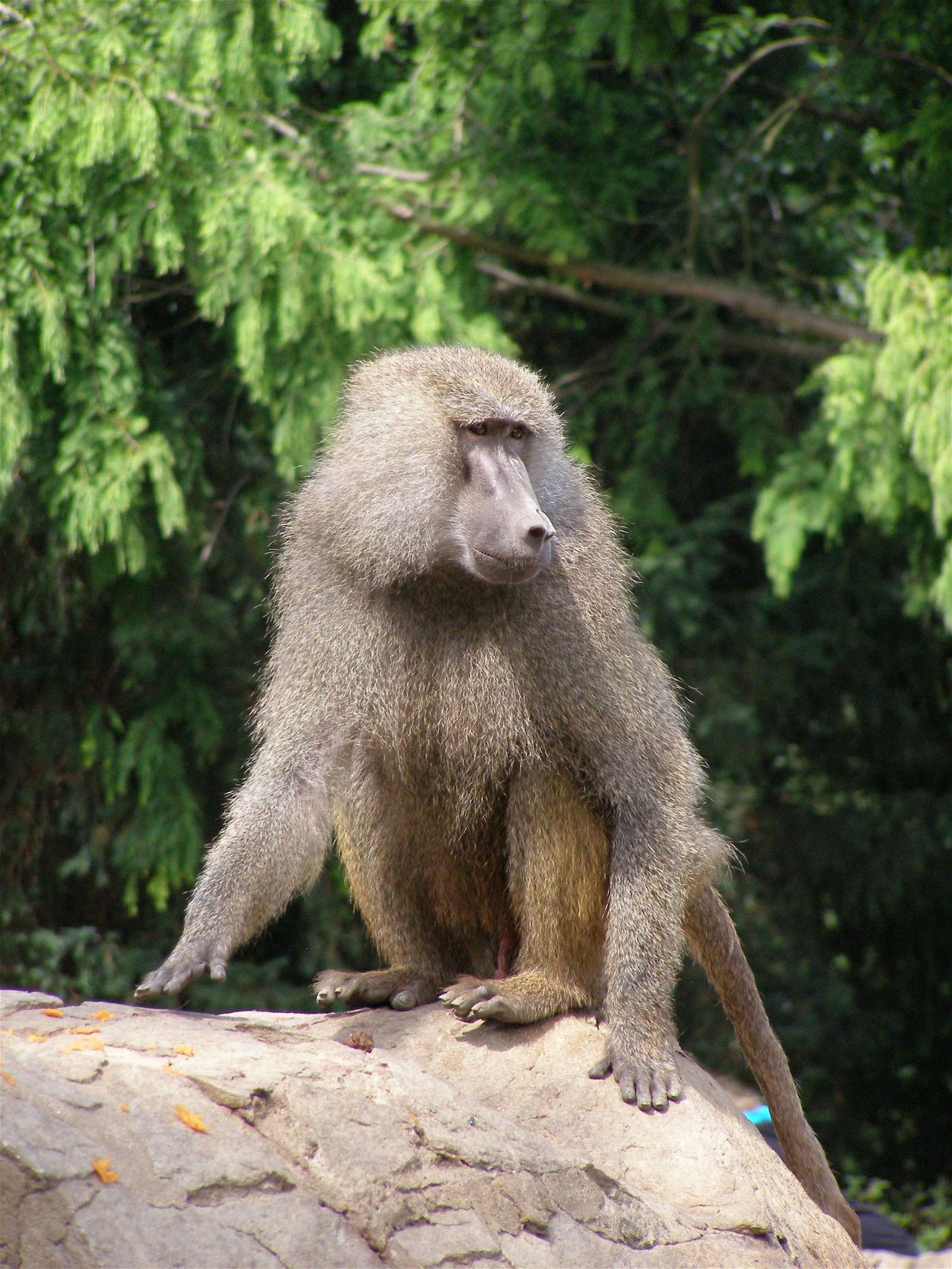 Wroclaw Zoo & Africarium