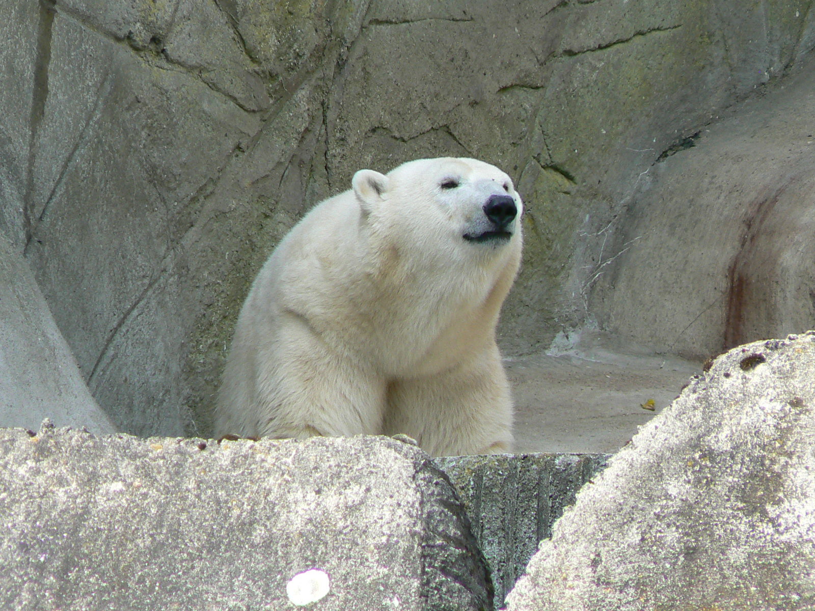 Hamburg Zoo