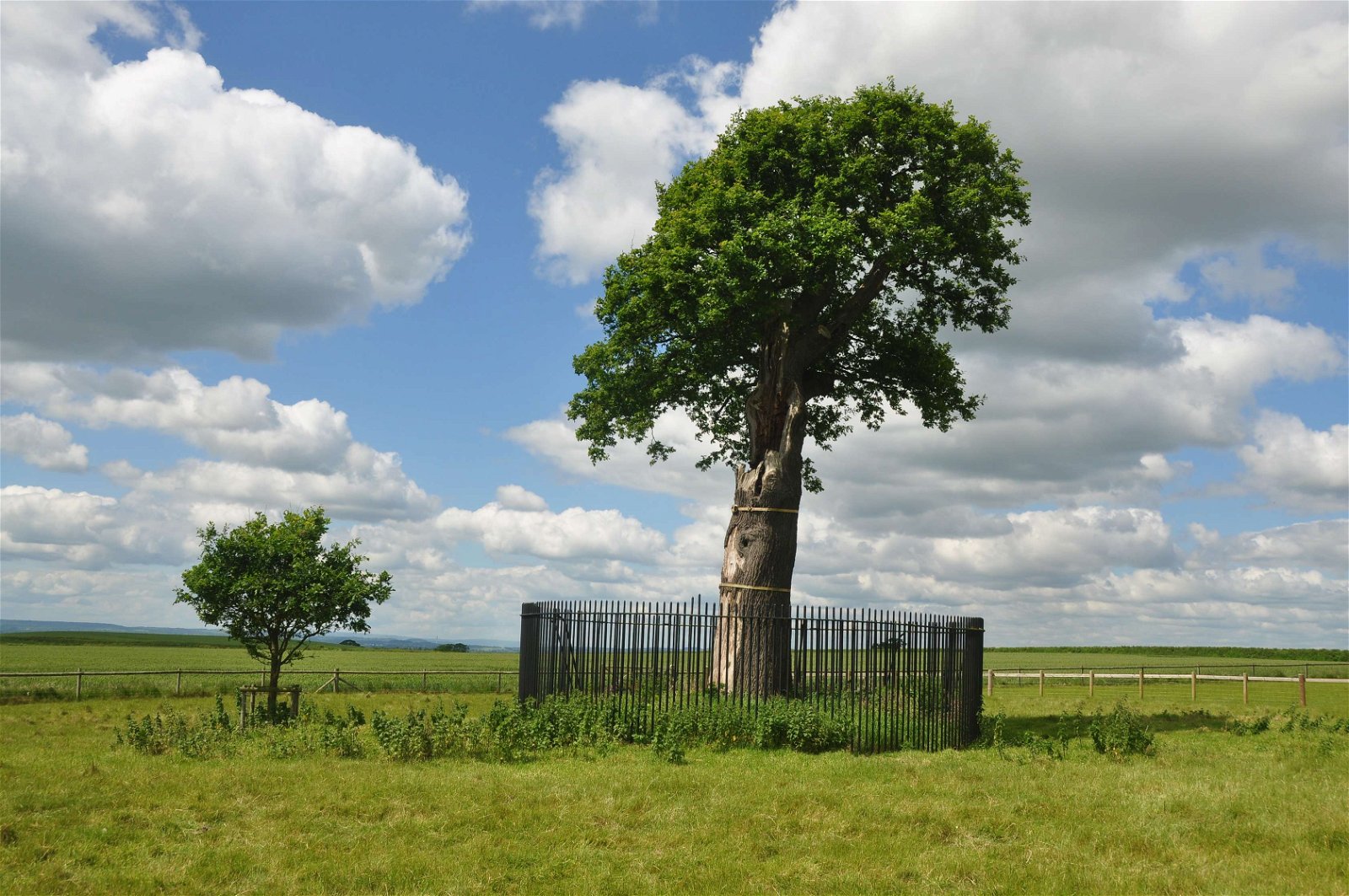 Boscobel House and The Royal Oak