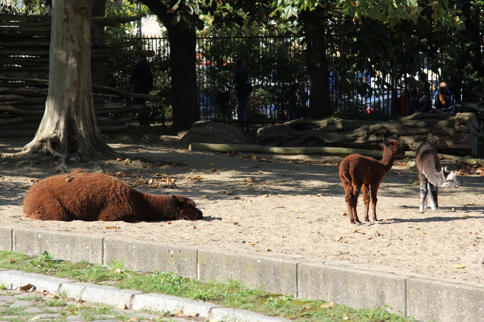 Berlin Zoological Garden
