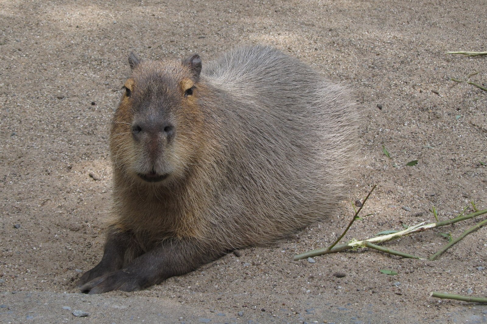 Familiepark Harry Malter