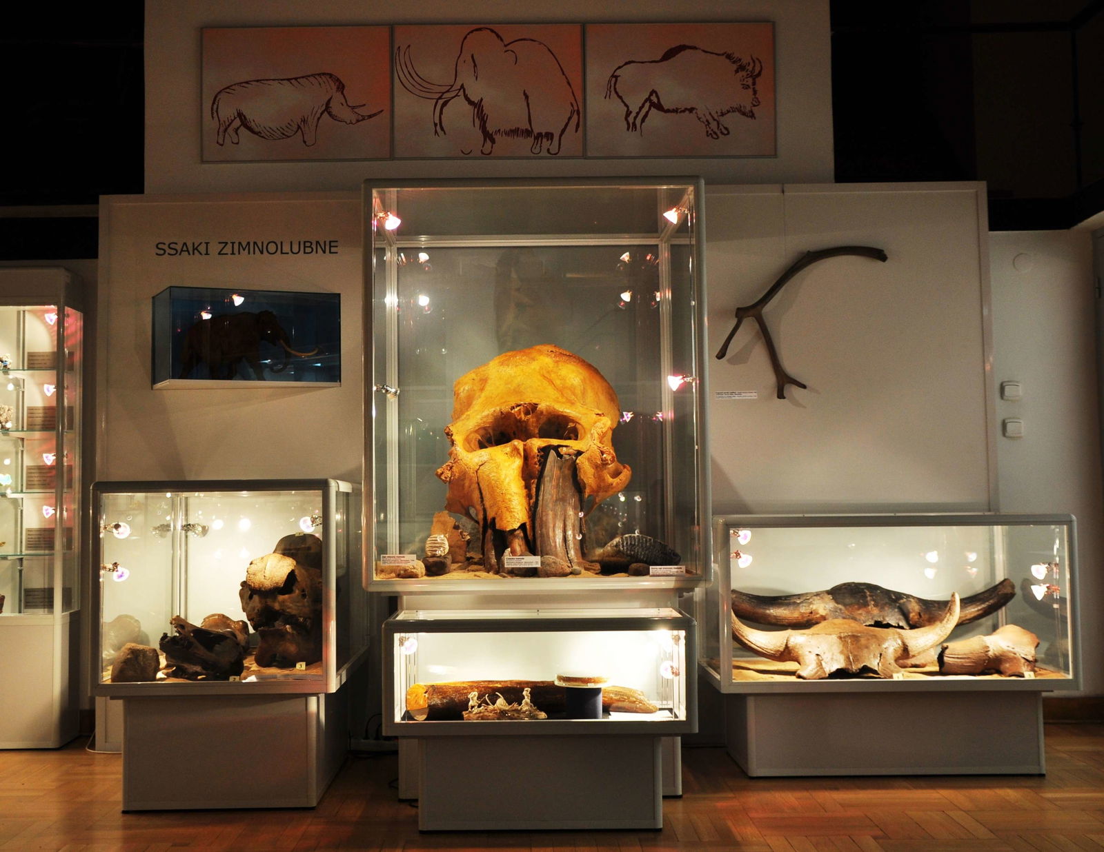 Earth Museum - Polish Academy of Sciences