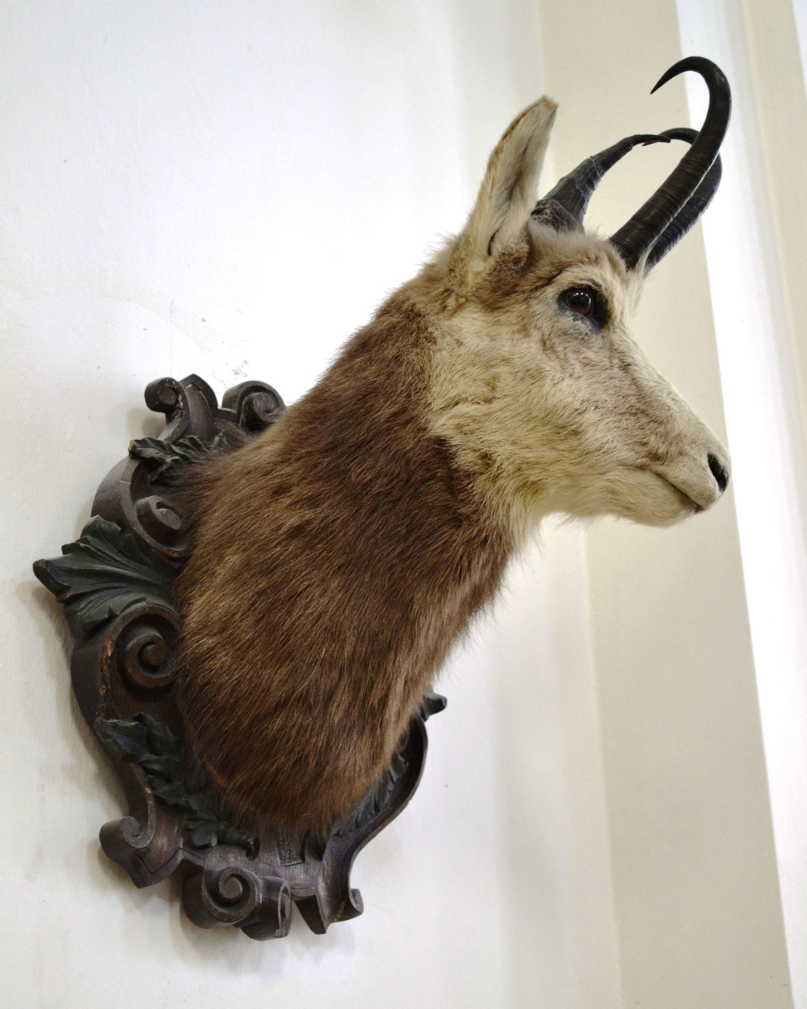 Museum of Hunting and Fishing (Deutsches Jagd und Fischereimuseum)