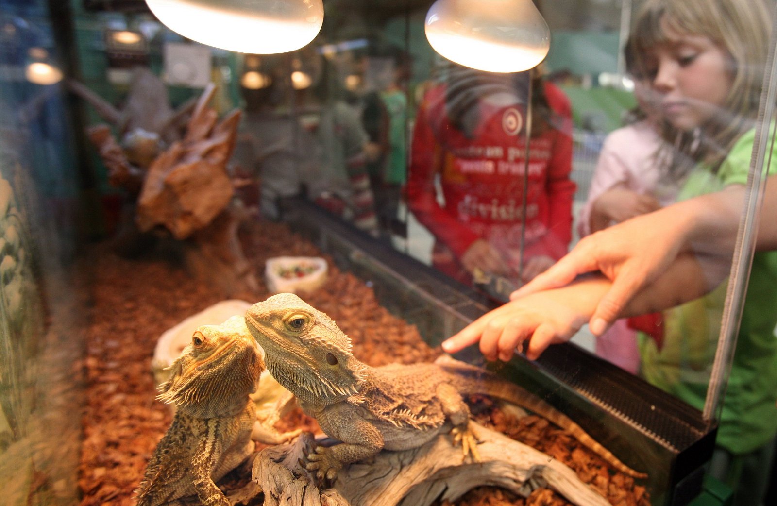 Principe Felipe Science Museum