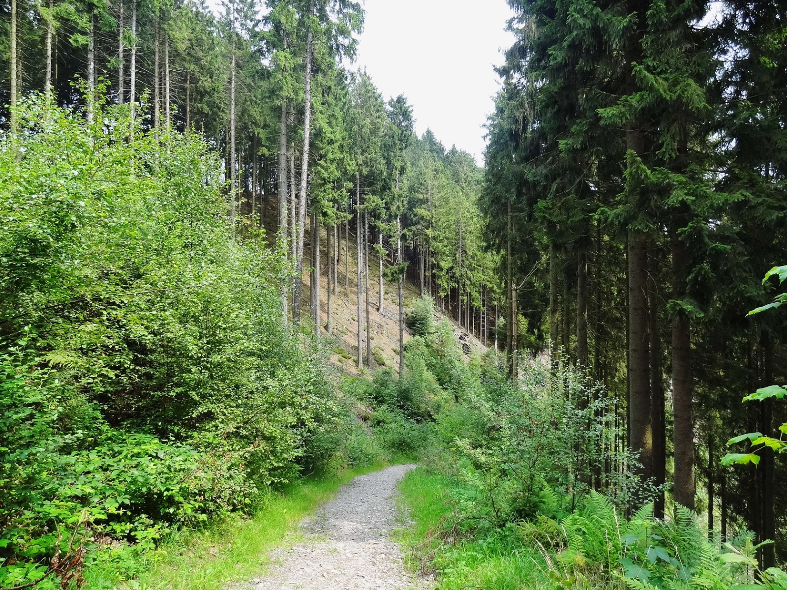 Reinhardstein Castle