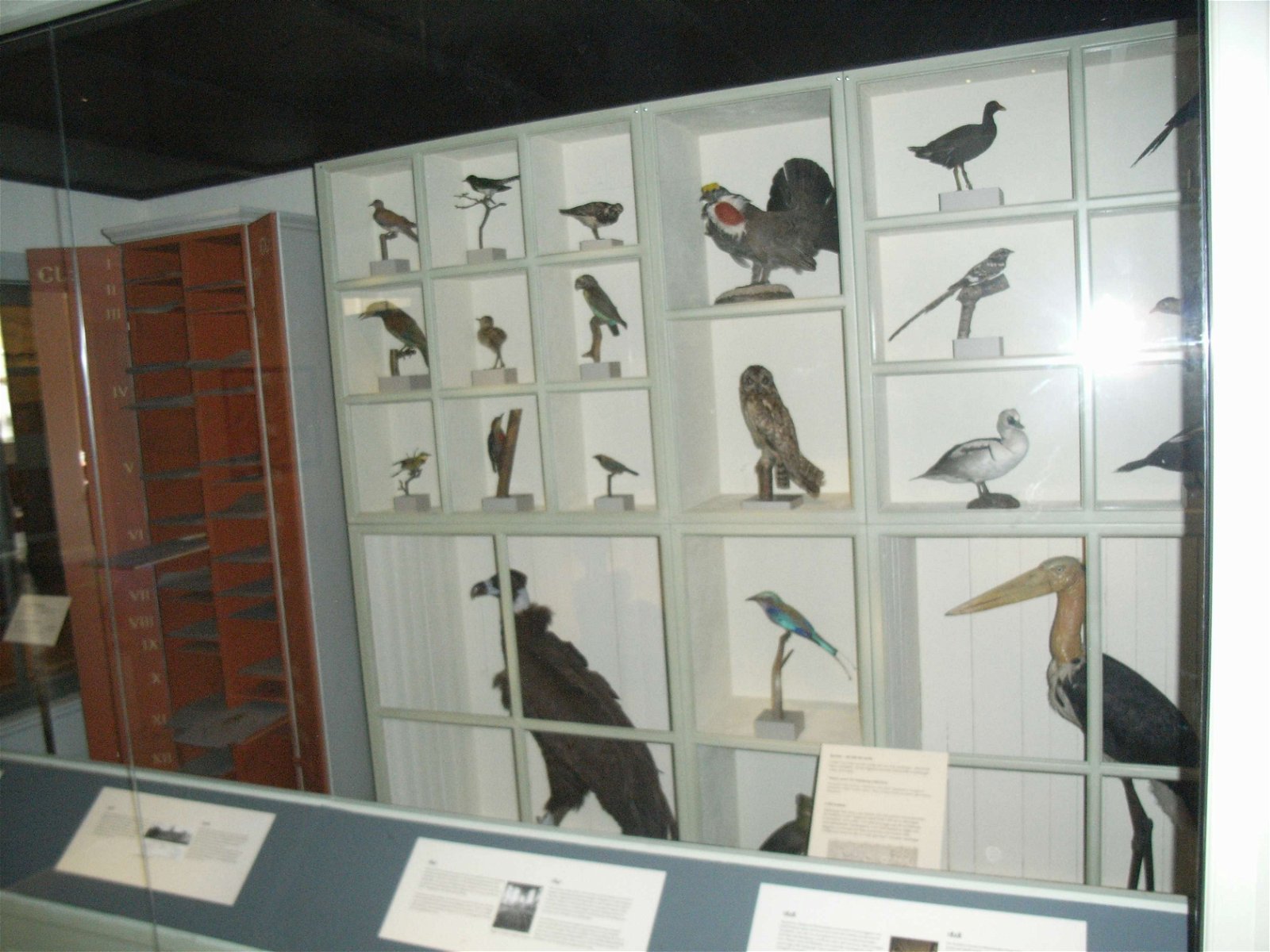 Swedish Museum of Natural History