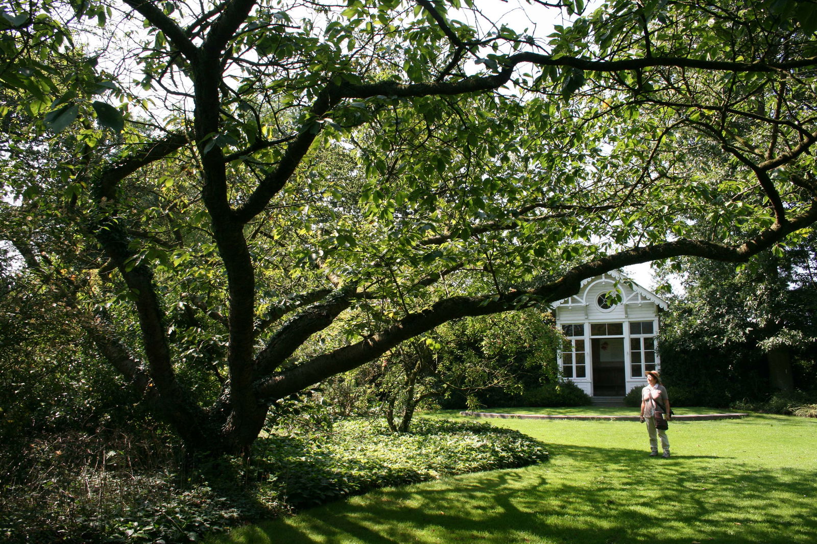 Arboretum de Kalmthout