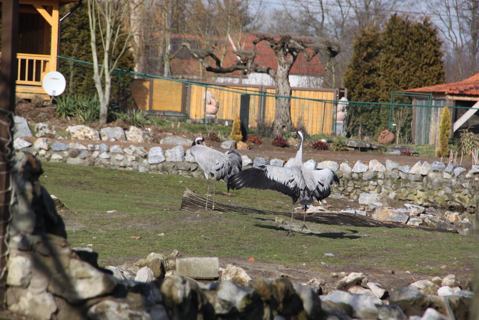 Olmense Zoo