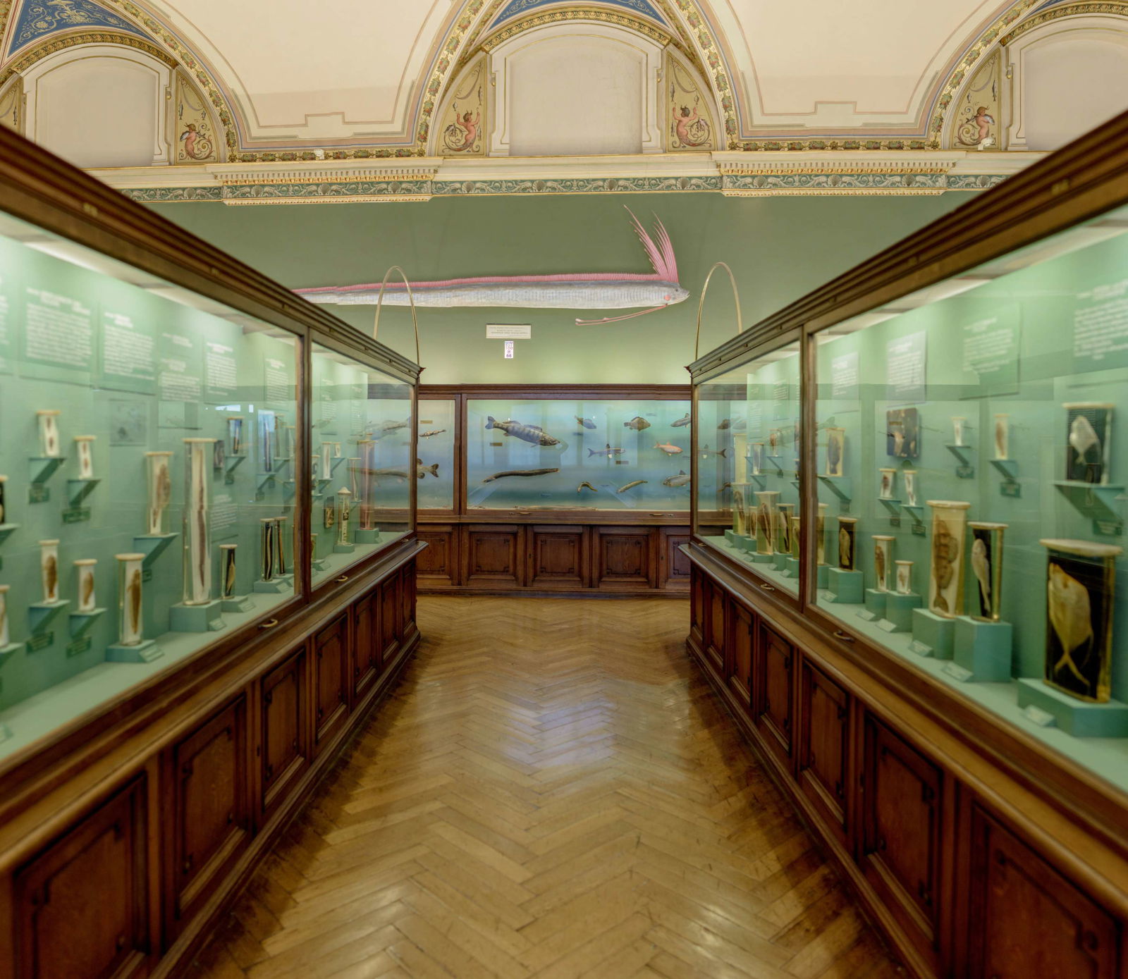 Naturhistorisches Museum