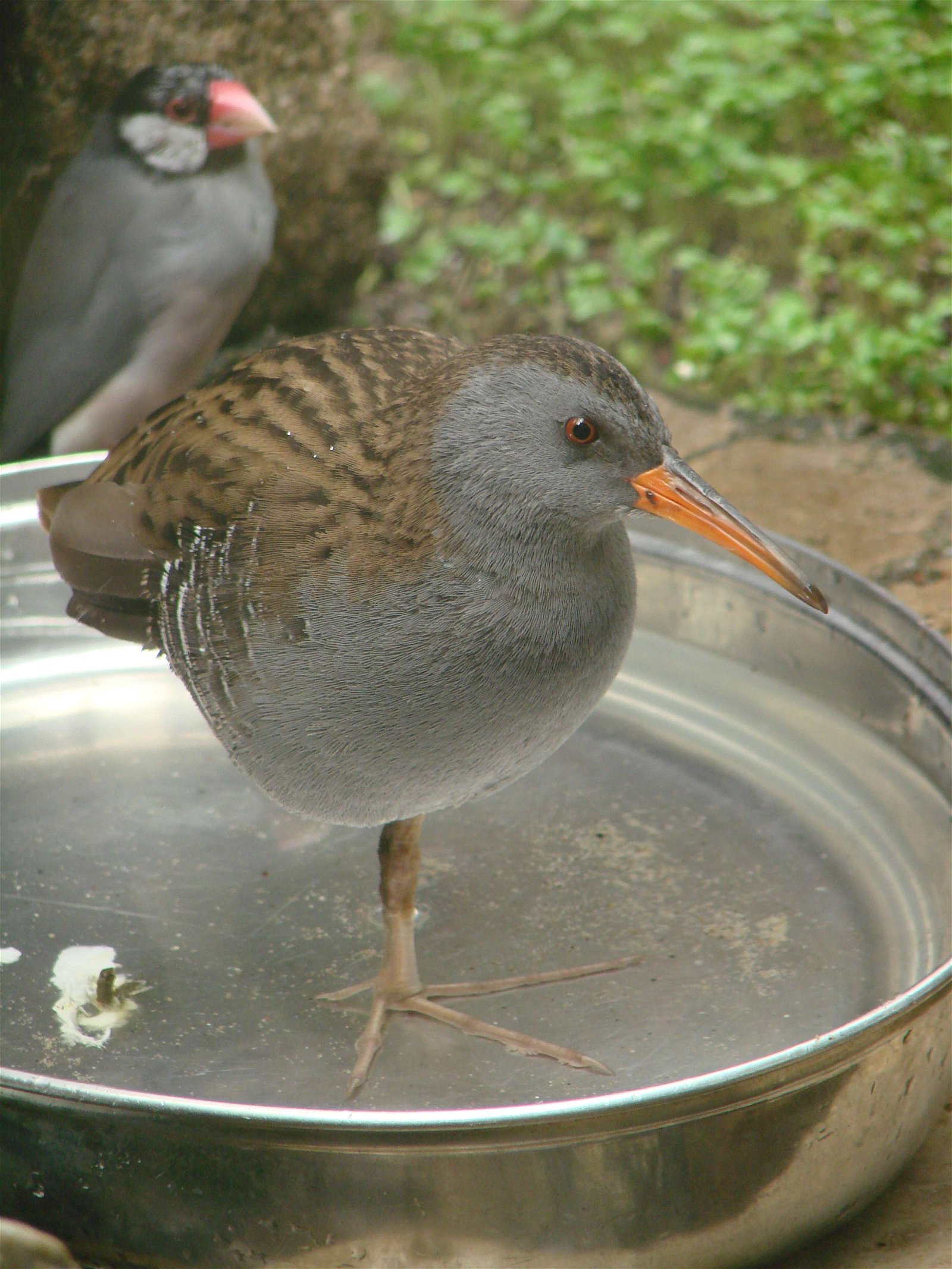 Wroclaw Zoo & Africarium