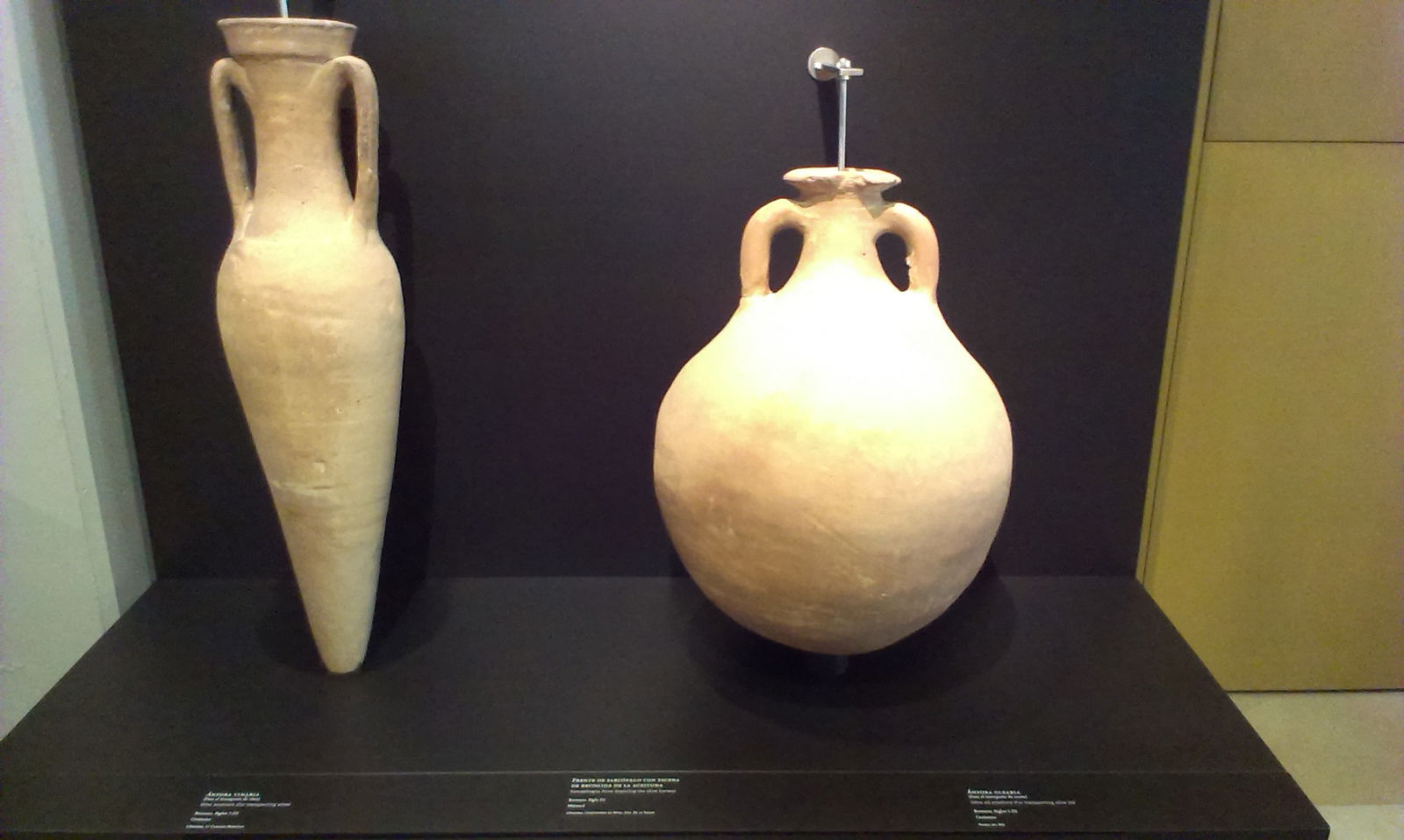 Museo Arqueológico de Córdoba
