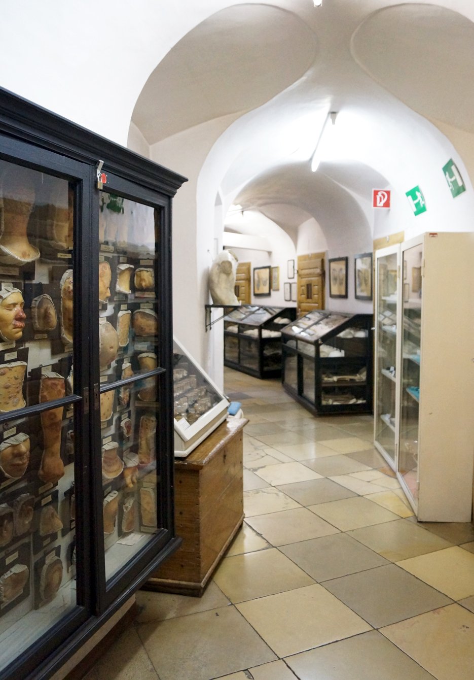 Collection of Anatomical Pathology in the Madhouse Tower - nhm