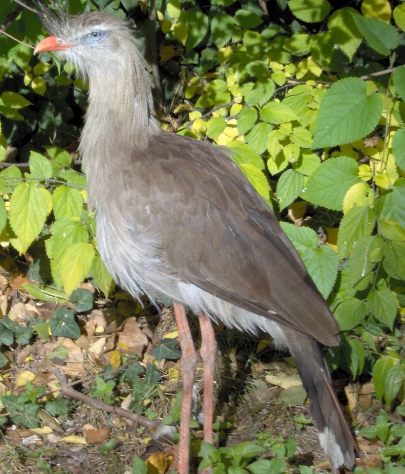 Budapest Zoo and Botanical Garden