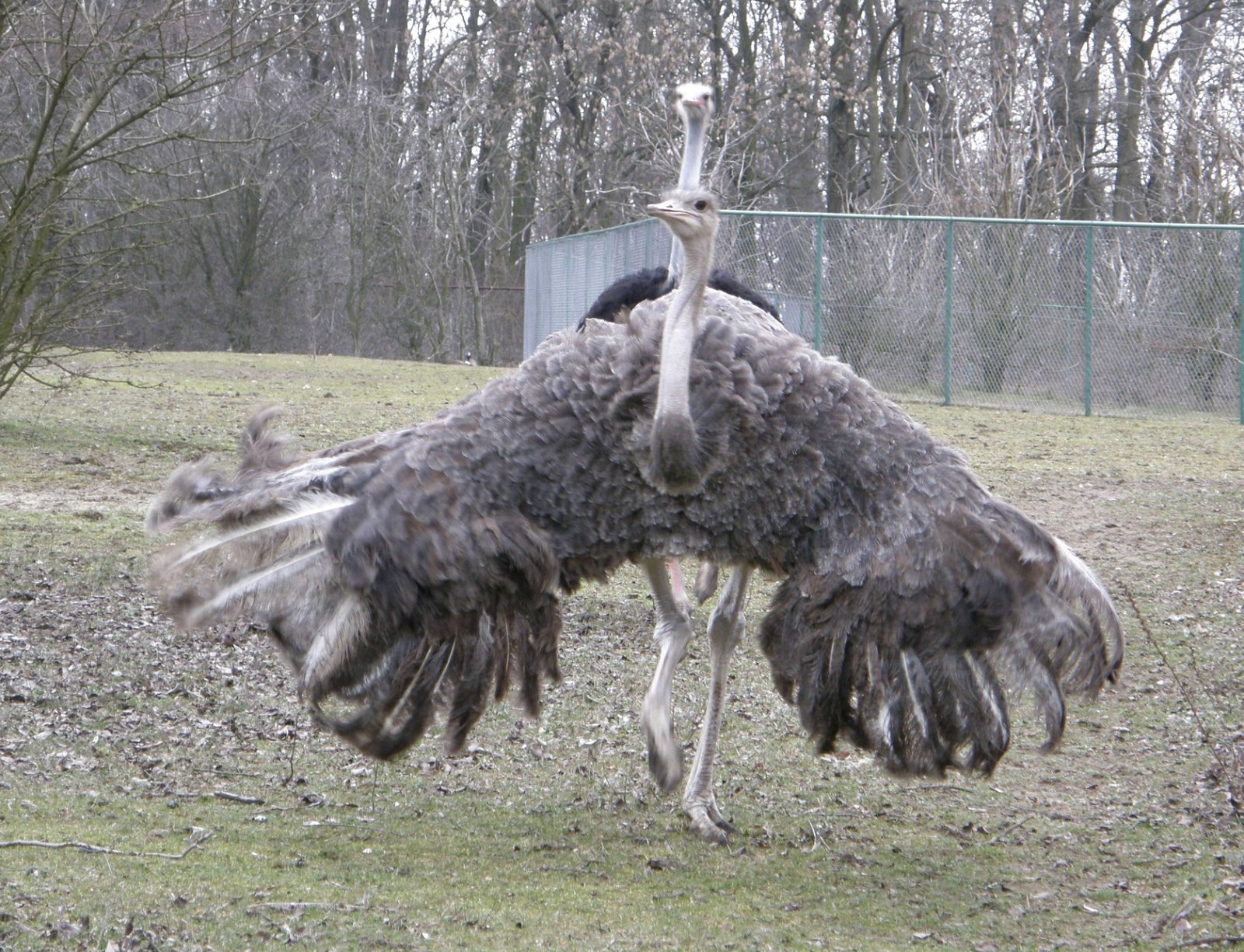 Zoo Poznań