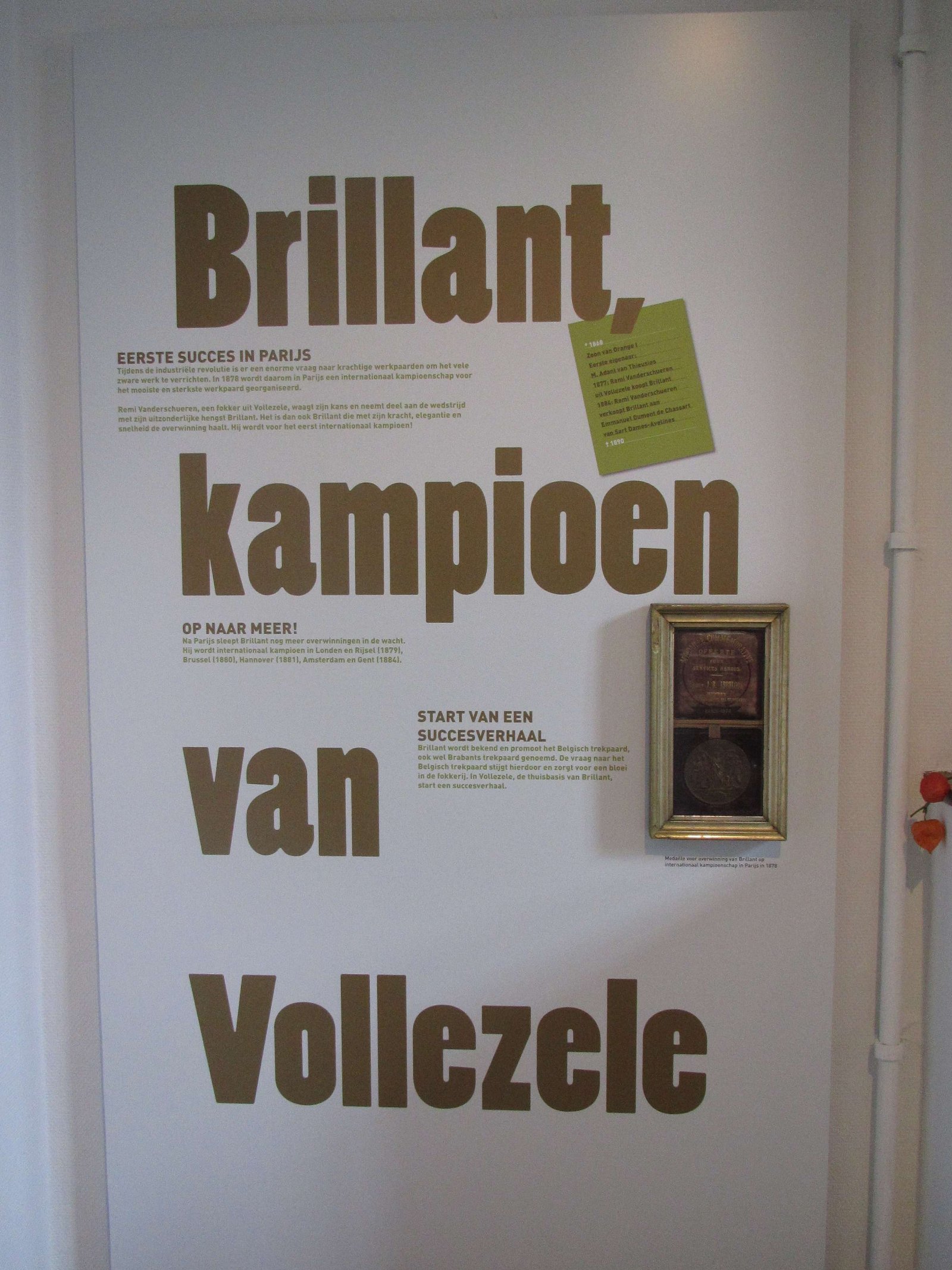 Museum van het Belgisch Trekpaard