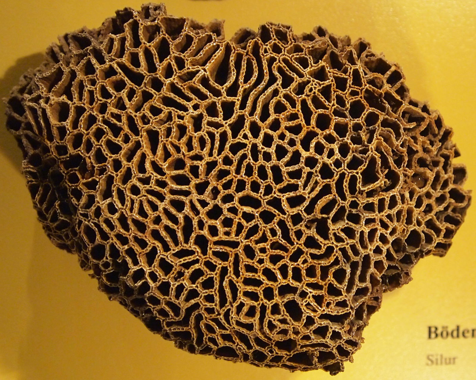 Museum Mensch und Natur