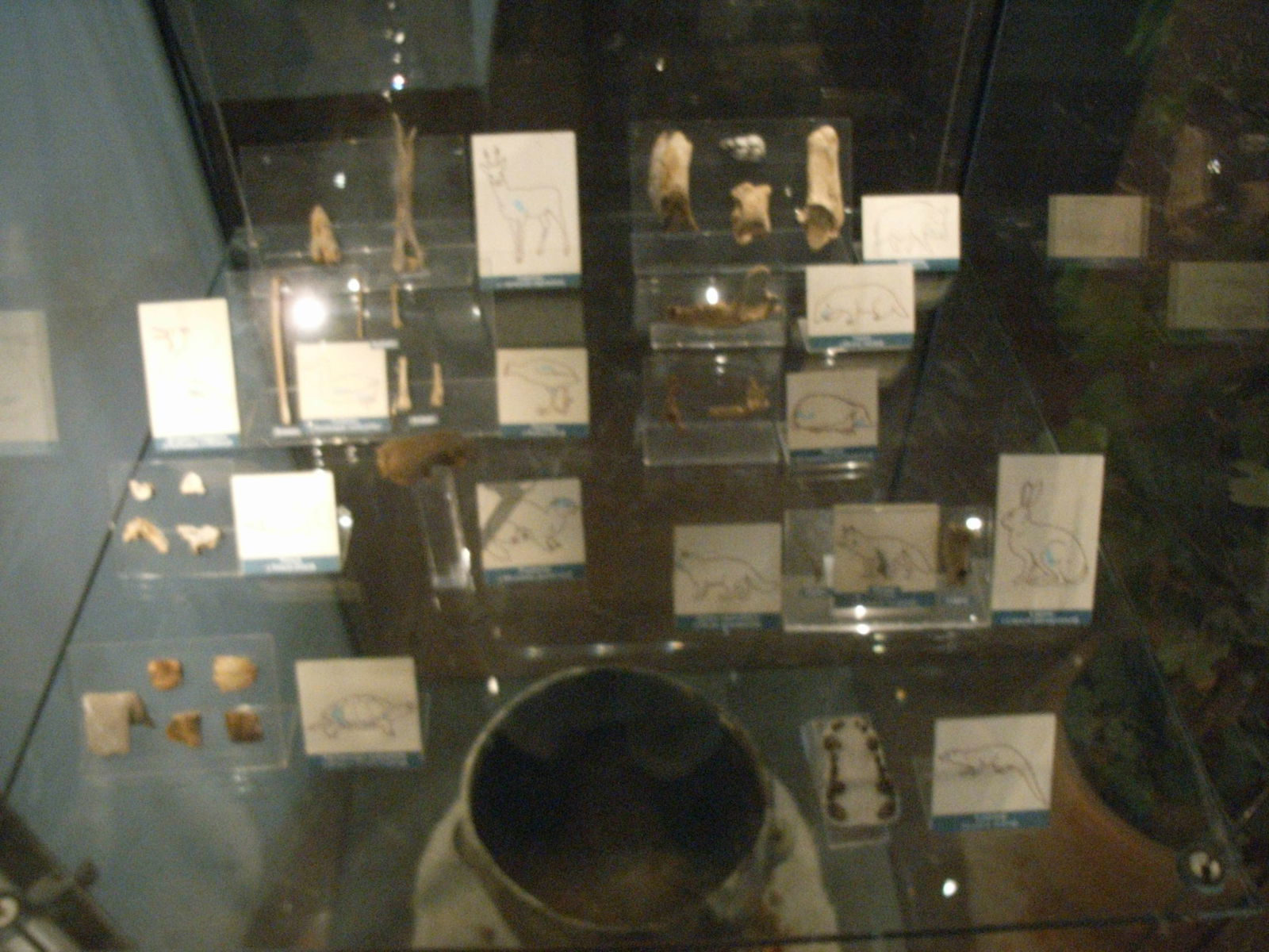 Museo Nazionale Preistorico Etnografico Luigi Pigorini