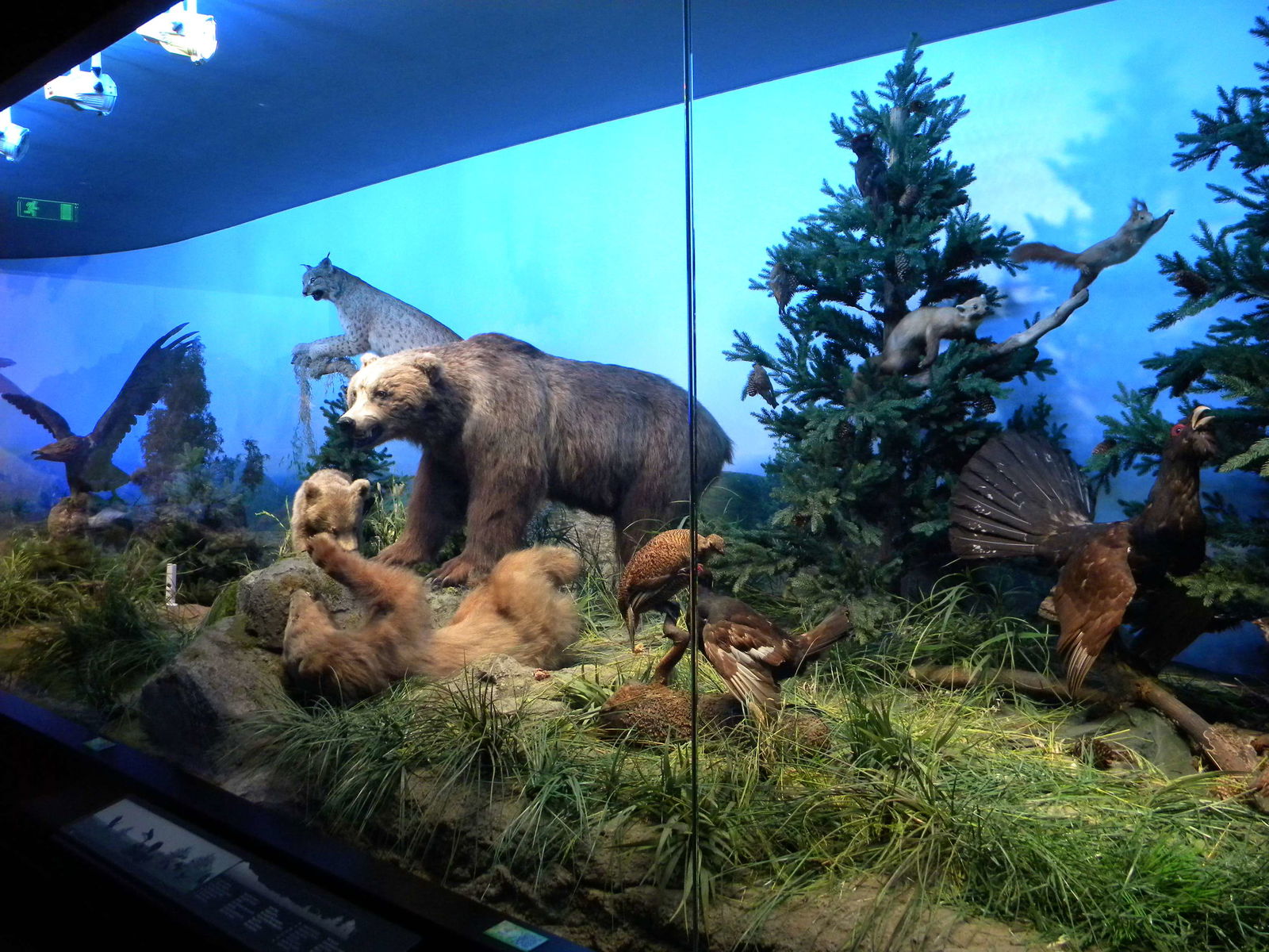 Grigore Antipa National Museum of Natural History