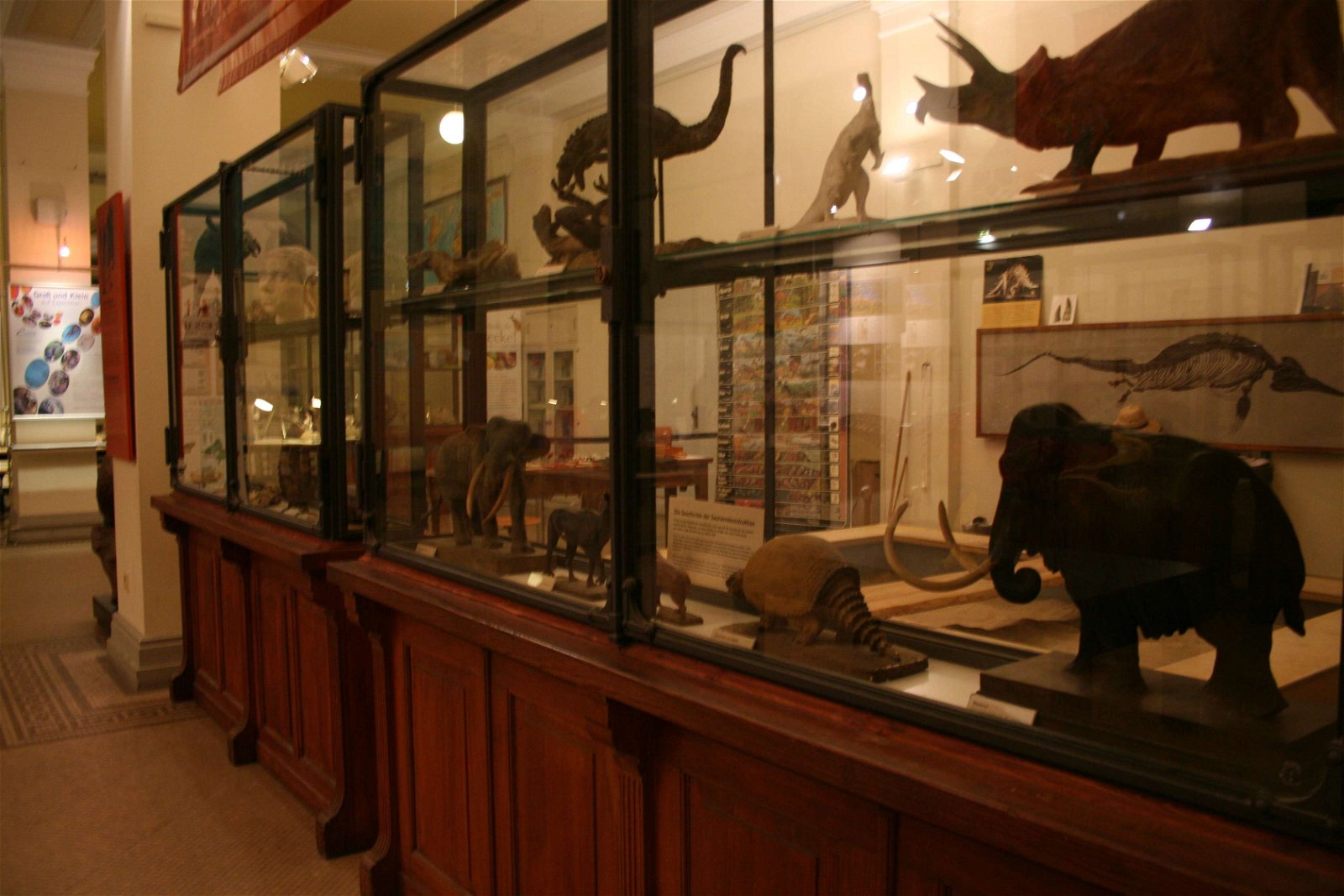 Natural History Museum Berlin