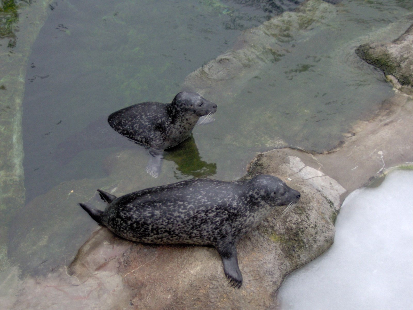 Budapest Zoo and Botanical Garden