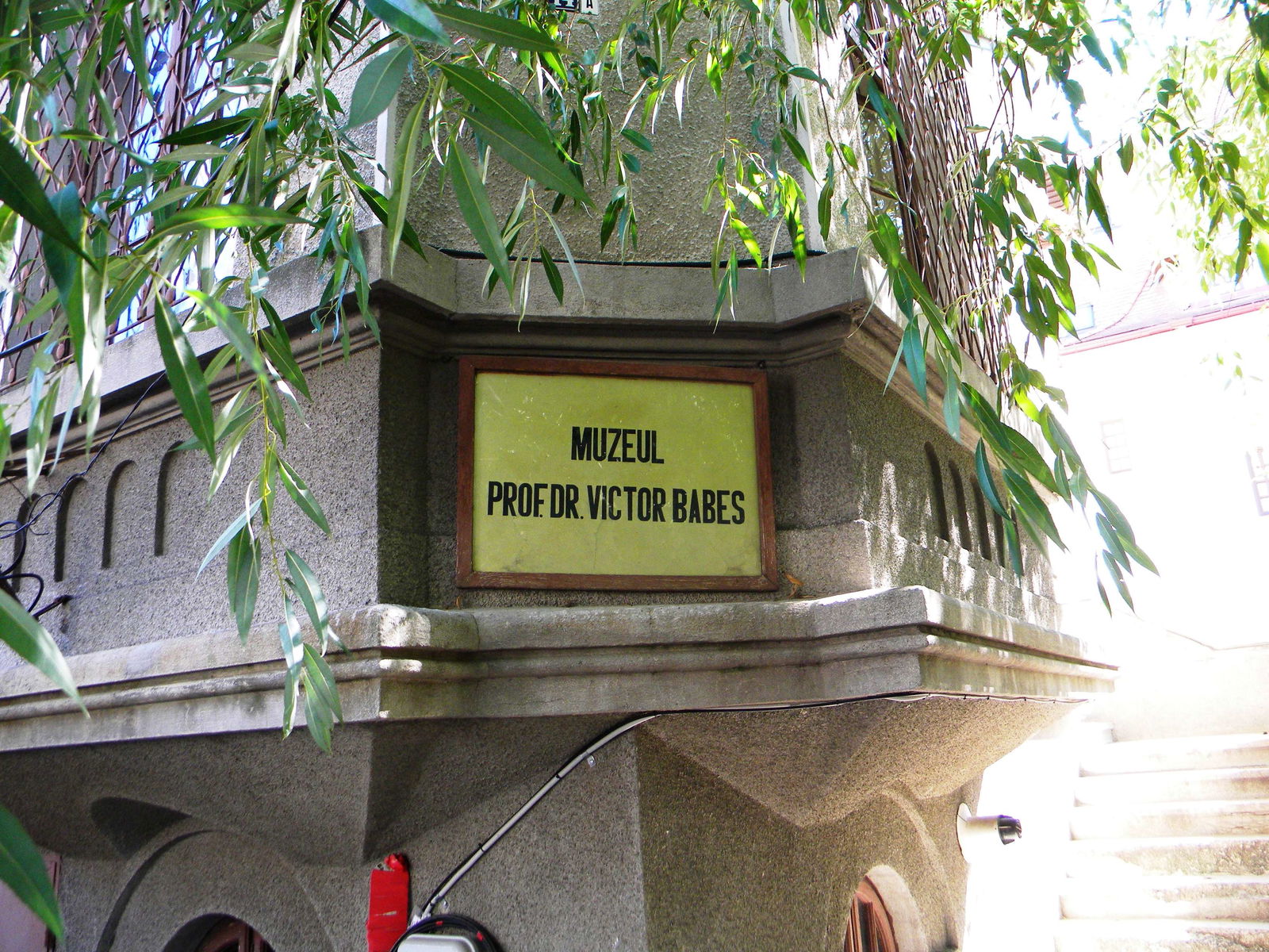 Victor Babes Museum