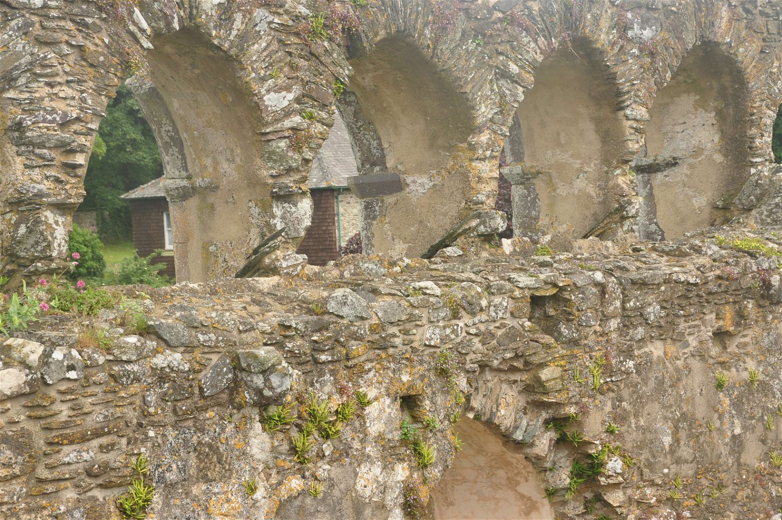 St David's Bishop's Palace