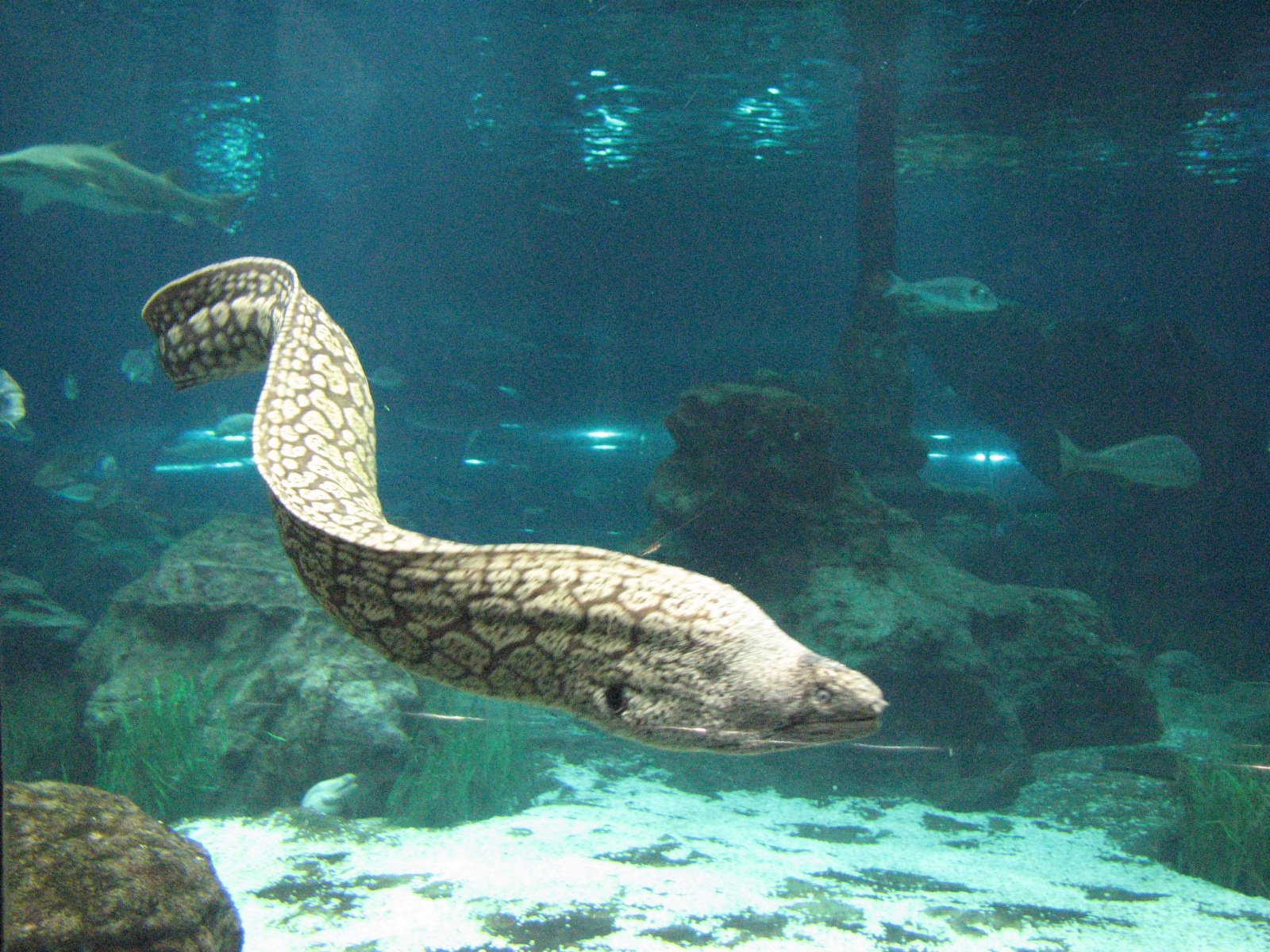 L’Aquàrium de Barcelona