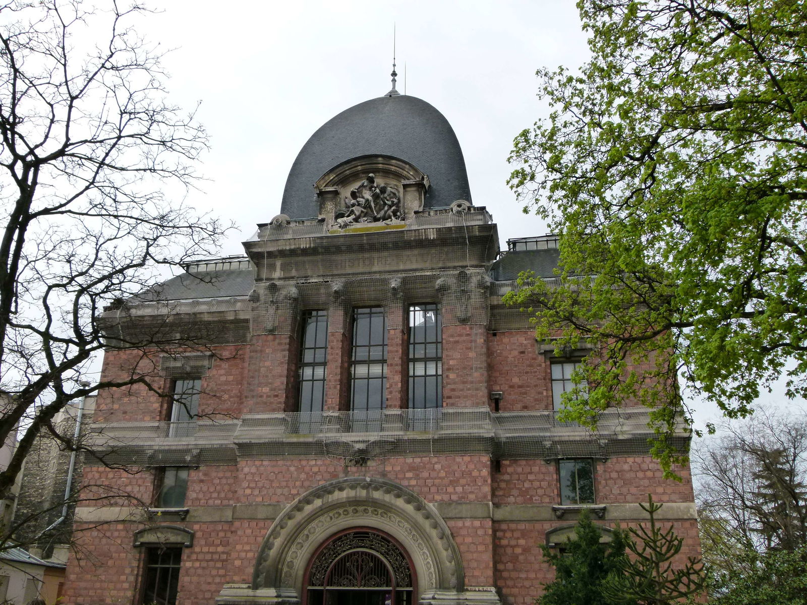Galerie de paléontologie et d'anatomie comparée