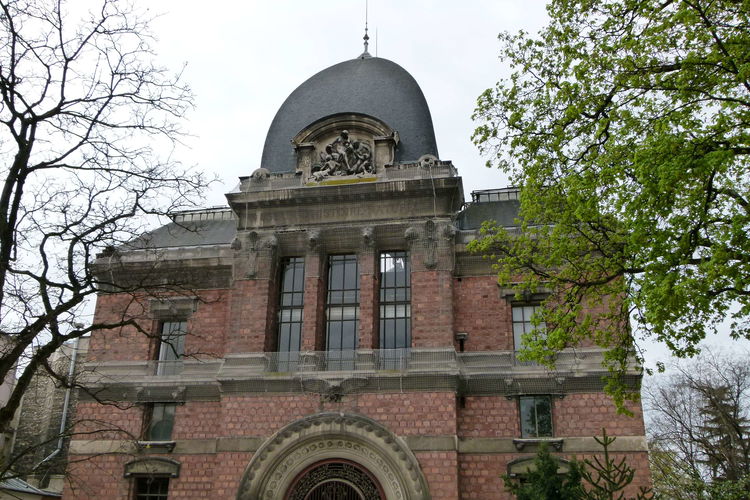 Galerie de paléontologie et d'anatomie comparée