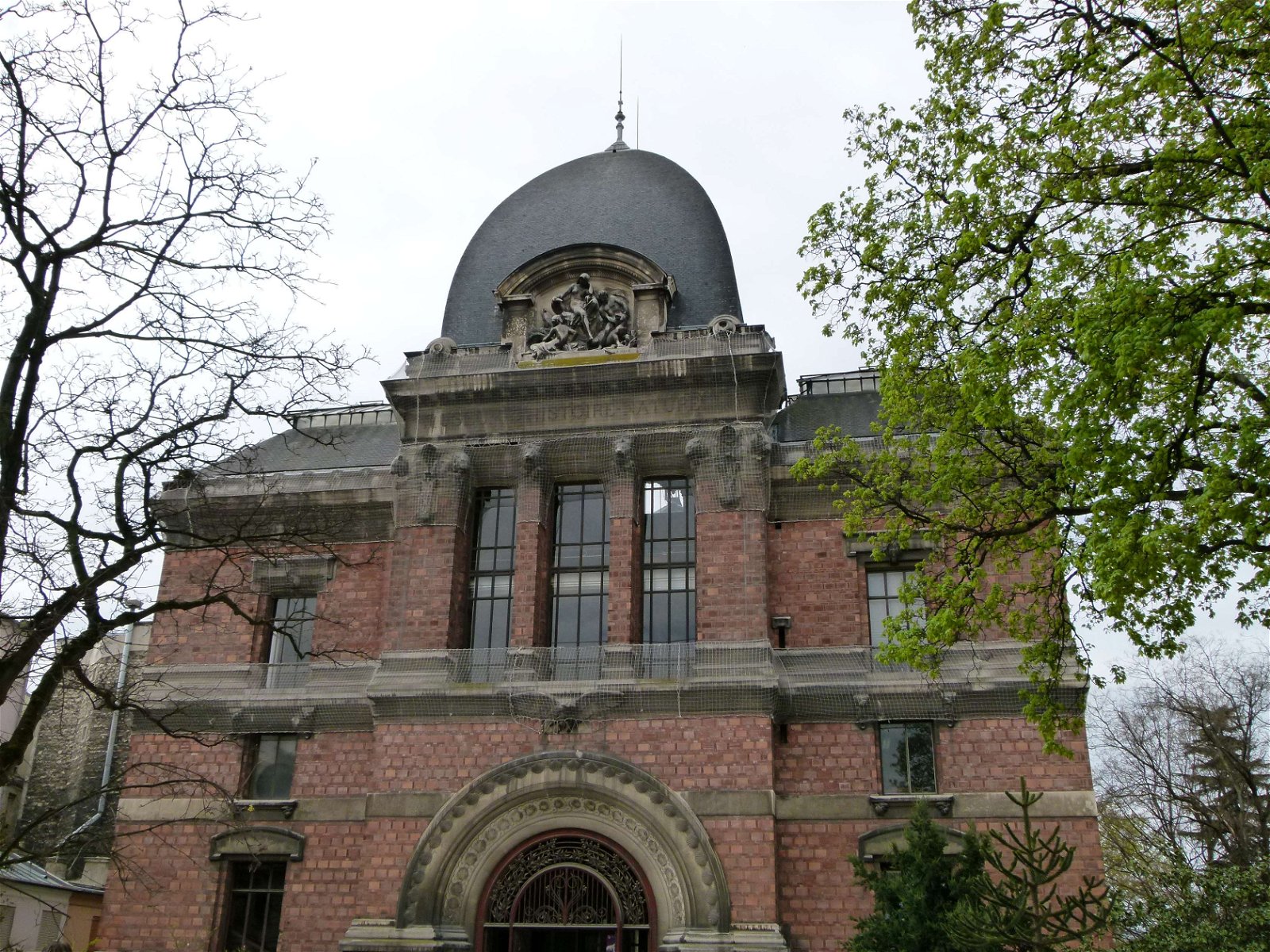 Gallery of Paleontology and Comparative Anatomy