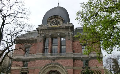 Gallery of Paleontology and Comparative Anatomy