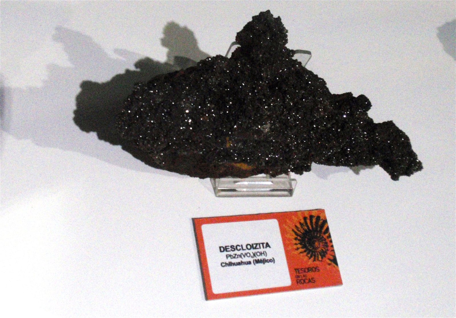 Museo Elder de la Ciencia y la Tecnología