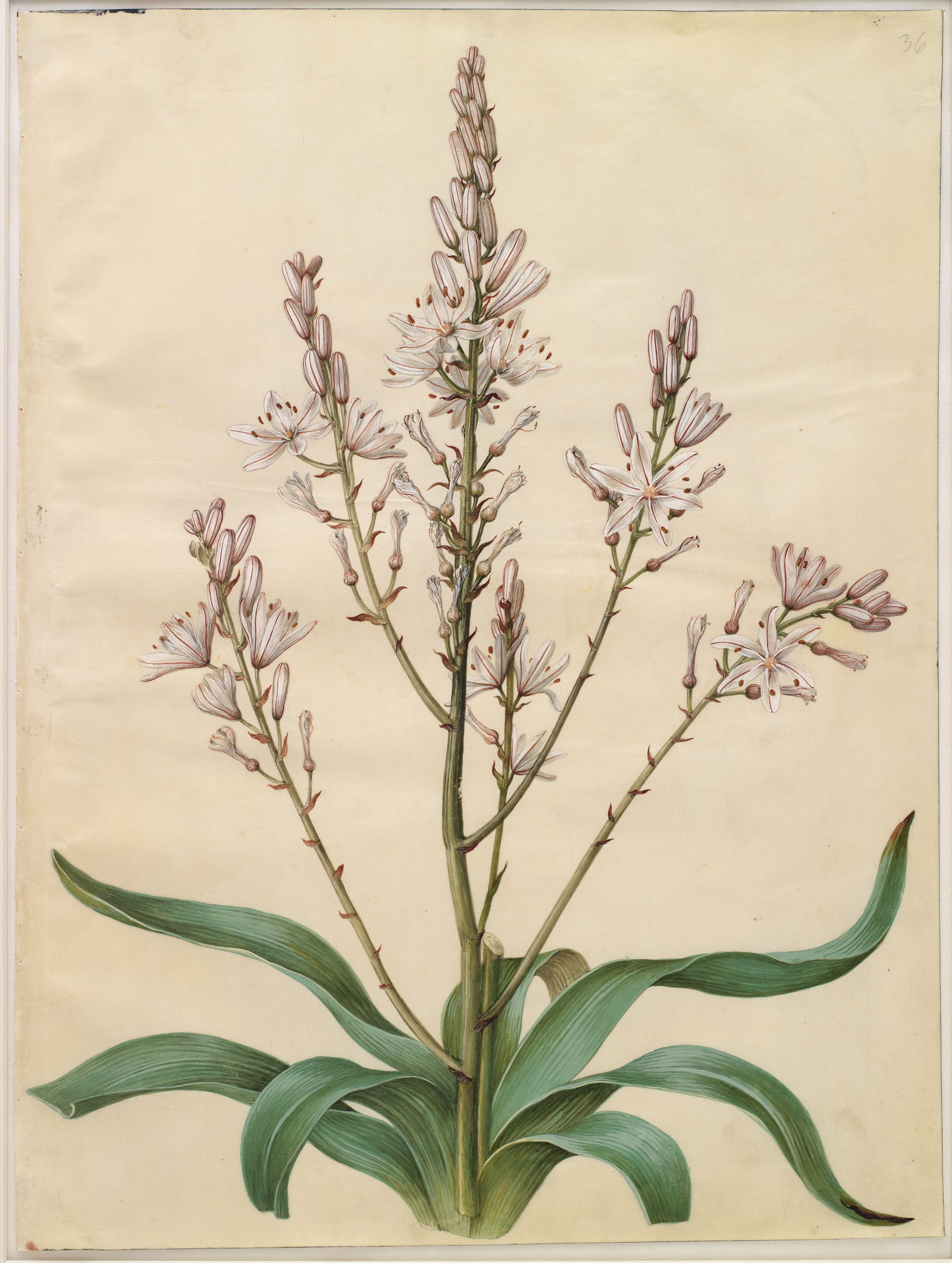 National Gallery of Denmark