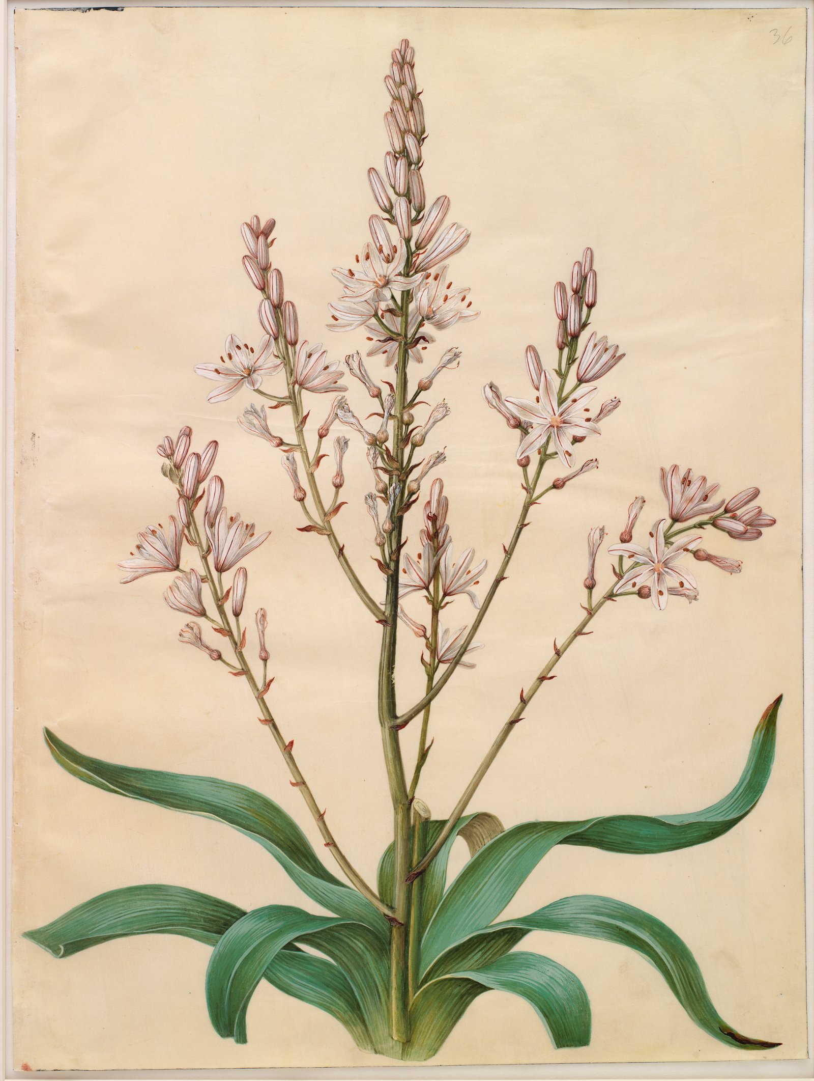 National Gallery of Denmark