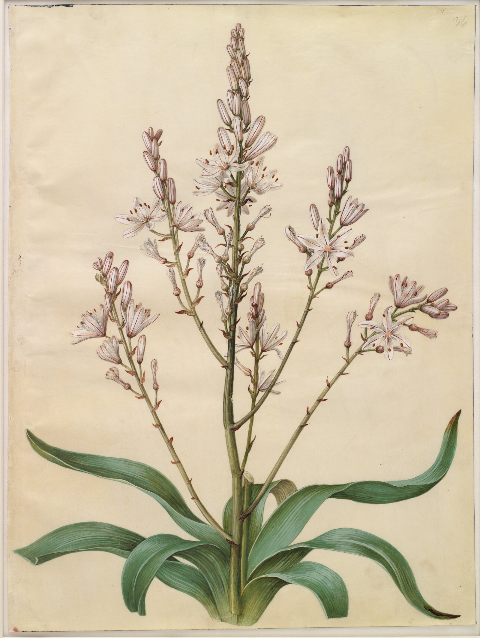 National Gallery of Denmark