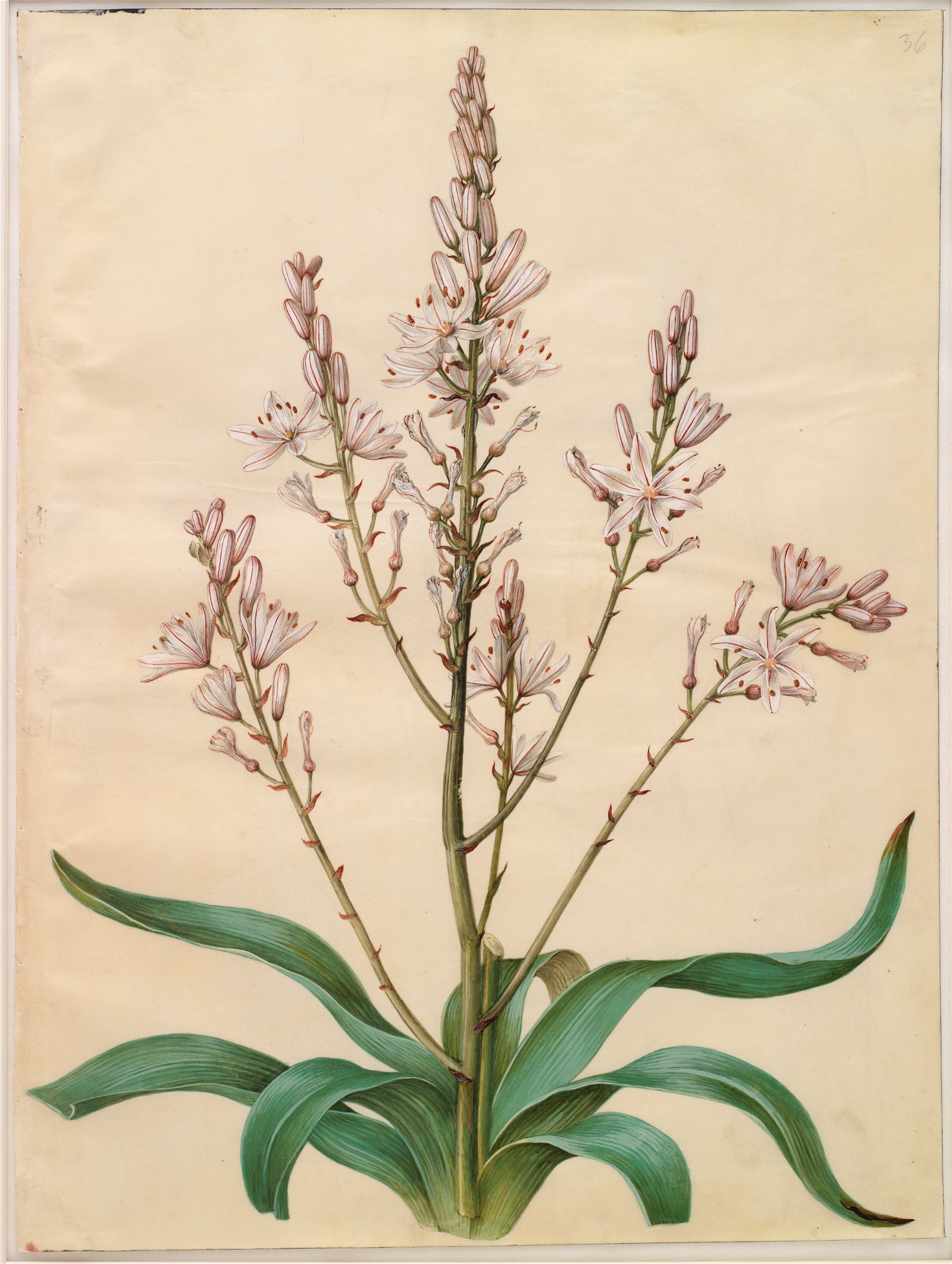 National Gallery of Denmark