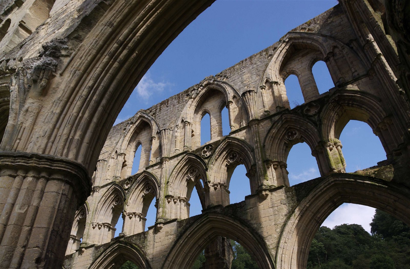 Rievaulx Abbey
