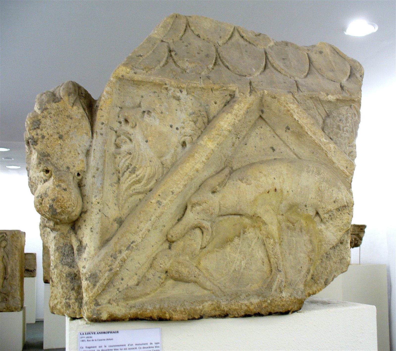 Musée archéologique d'Arlon