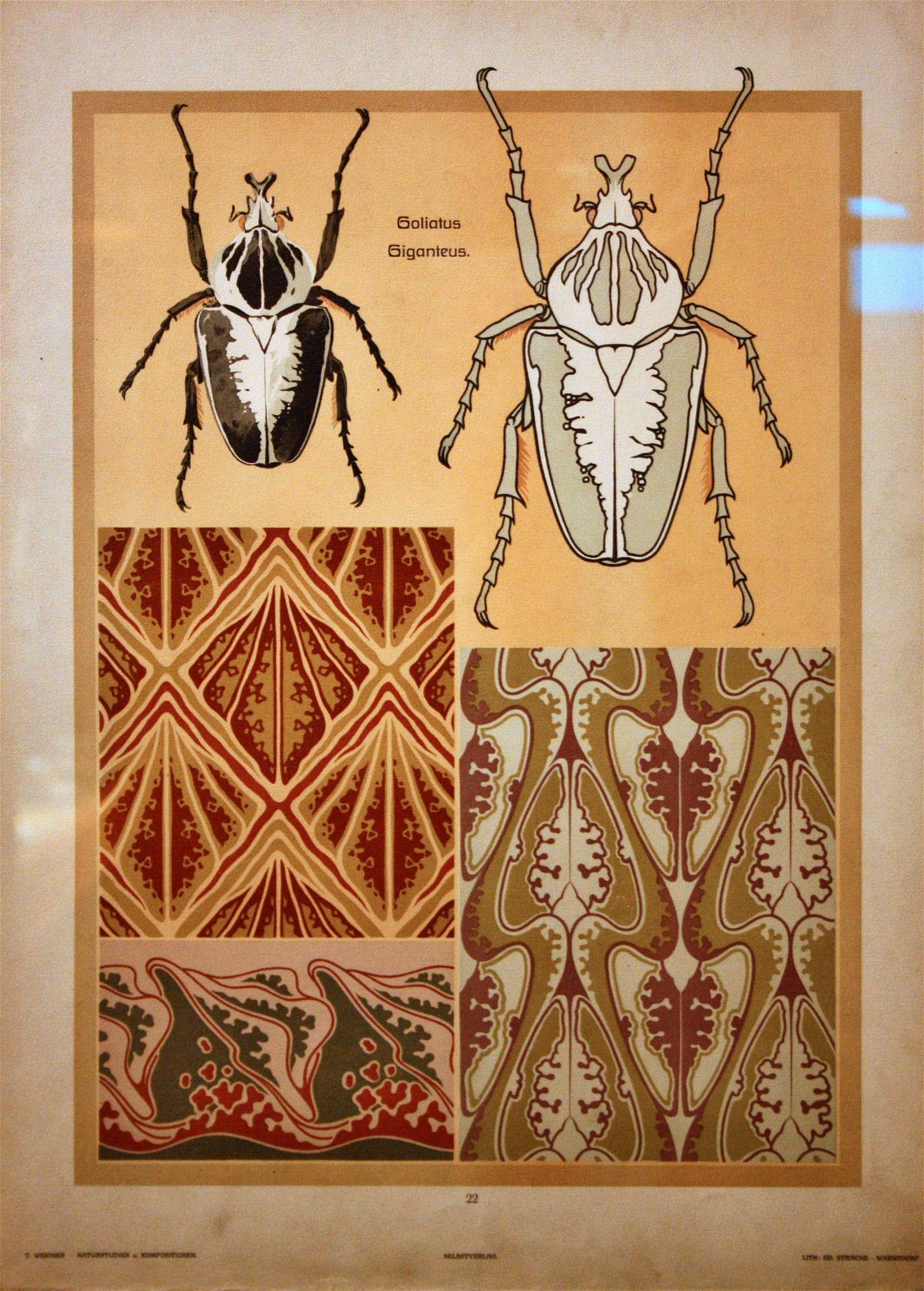 Pražák Palace - Moravian Gallery