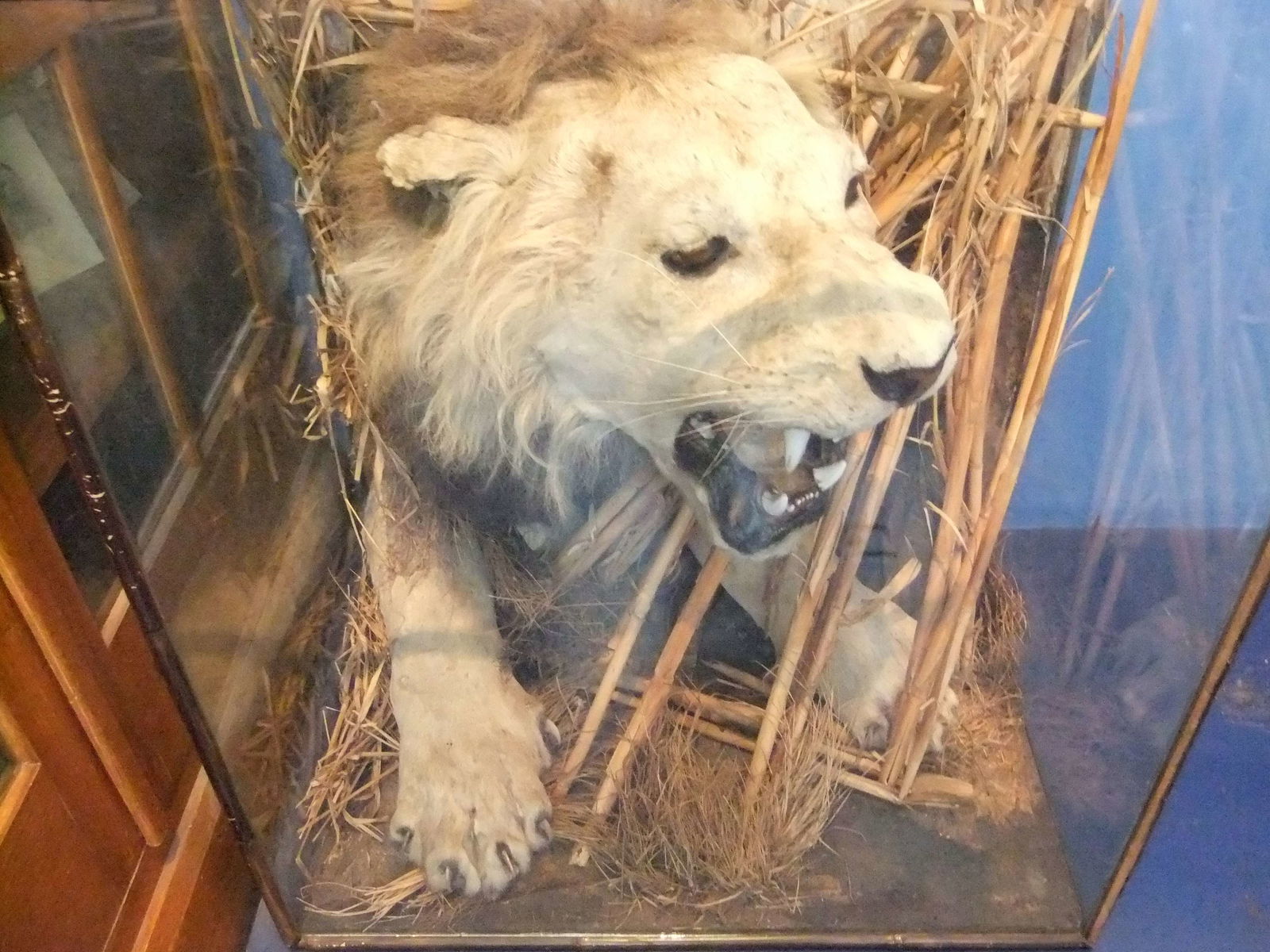 Museum of Lincolnshire Life