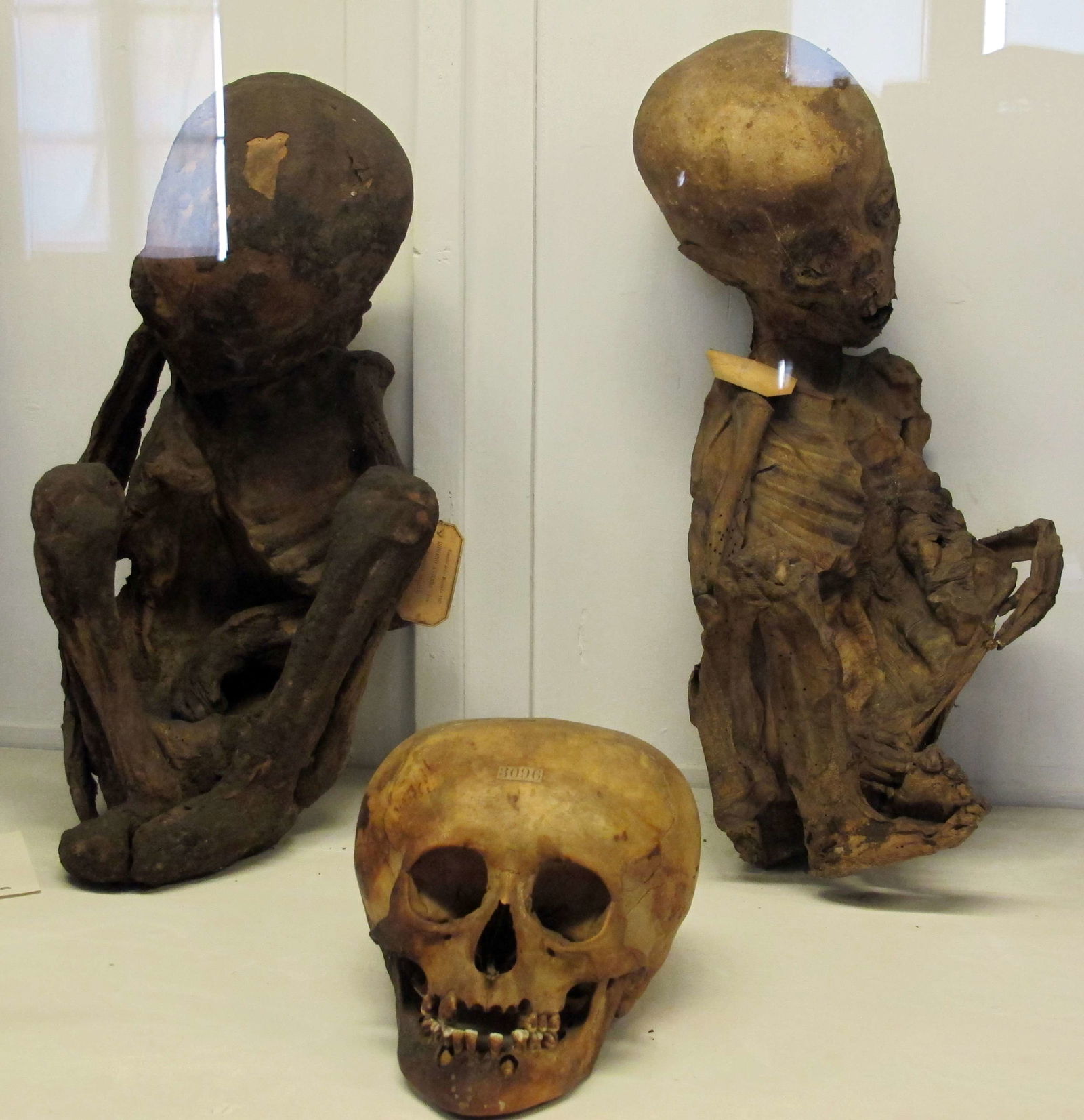 Museo Nazionale di Antropologia e Etnologia