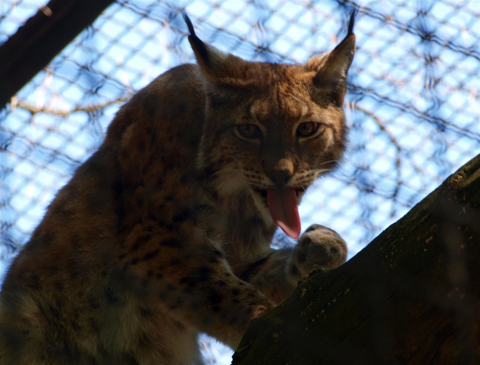 Wroclaw Zoo & Africarium