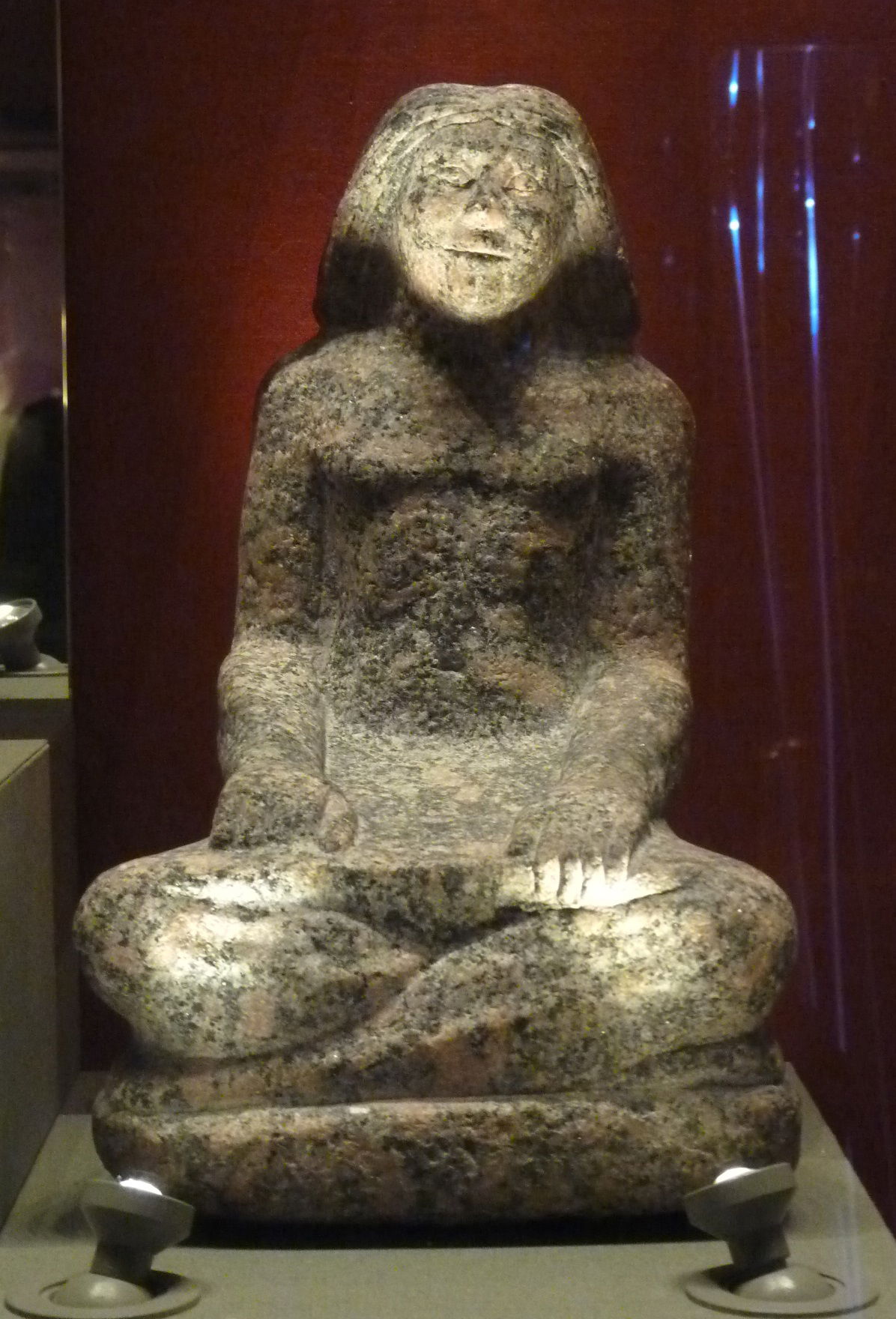 National Museum of Ireland, Kildare Street