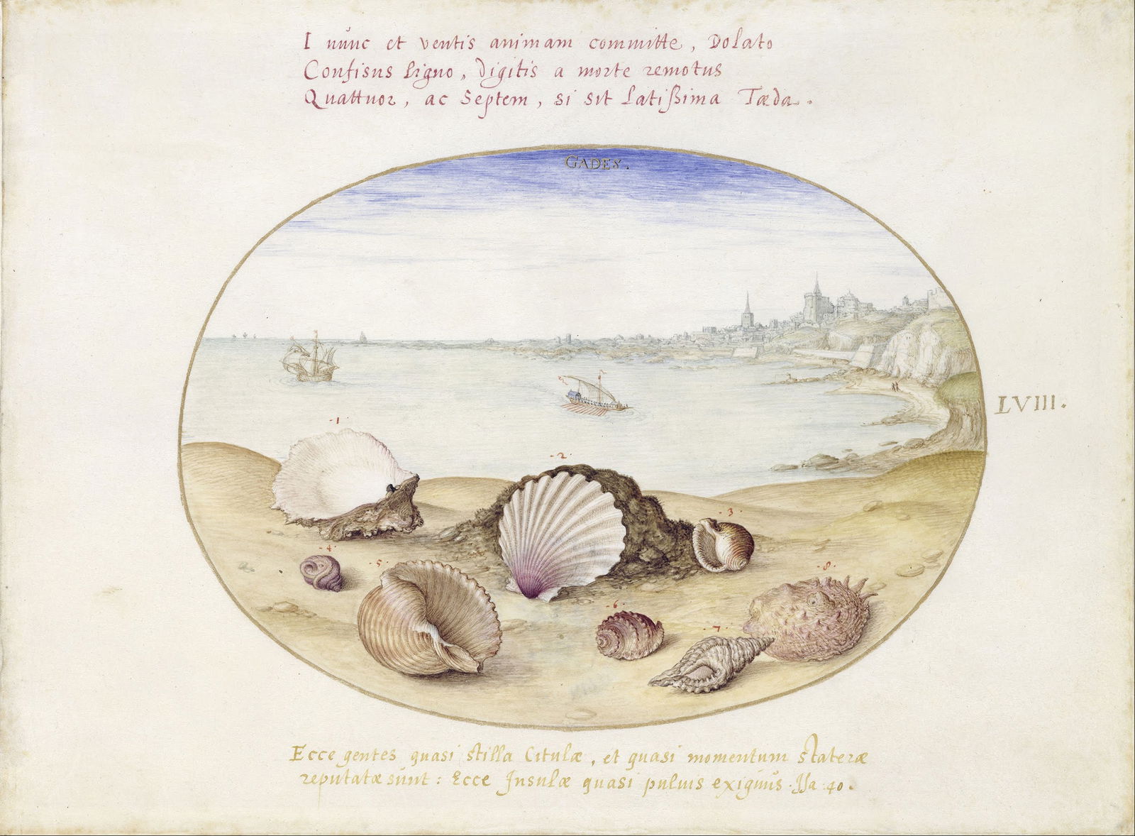 Museum of Prints and Drawings