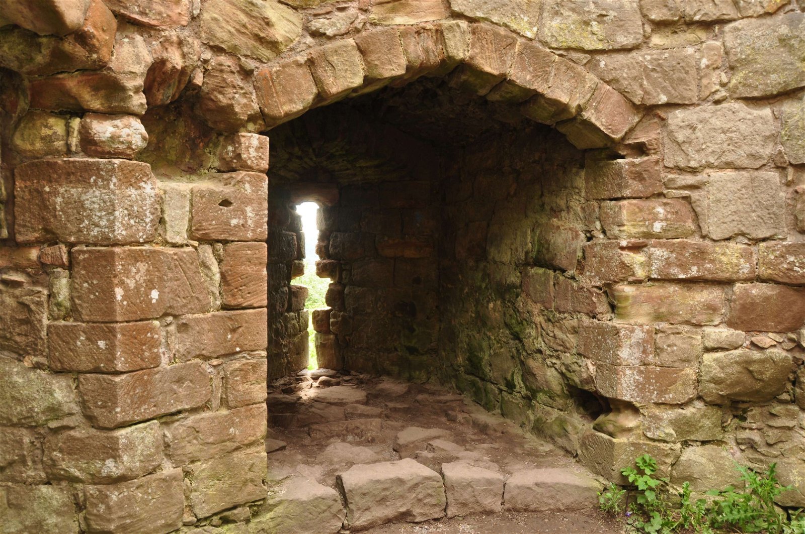 Beeston Castle and Woodland Park