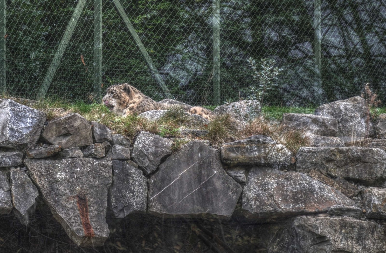 Dublin Zoo