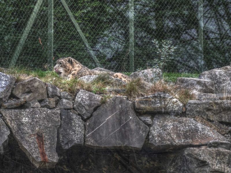 Dublin Zoo